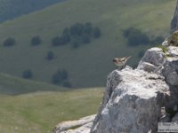 2020-06-27 Anello del Monte Greco 079